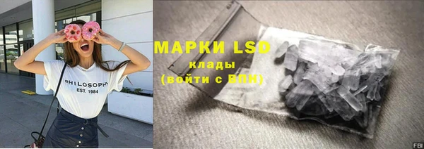 PSILOCYBIN Бугульма