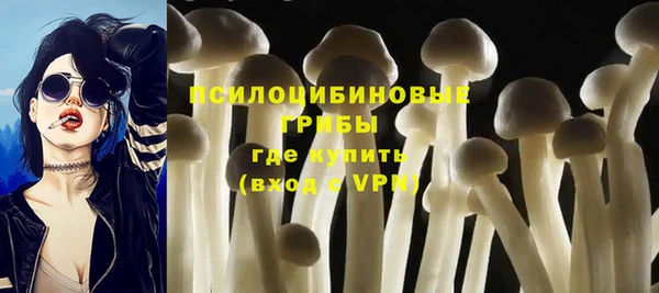 гашиш Бородино
