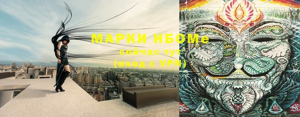 PSILOCYBIN Бугульма