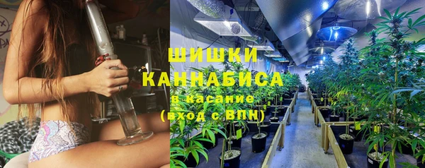 PSILOCYBIN Бугульма