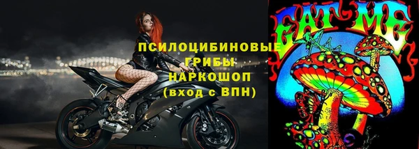 PSILOCYBIN Бугульма