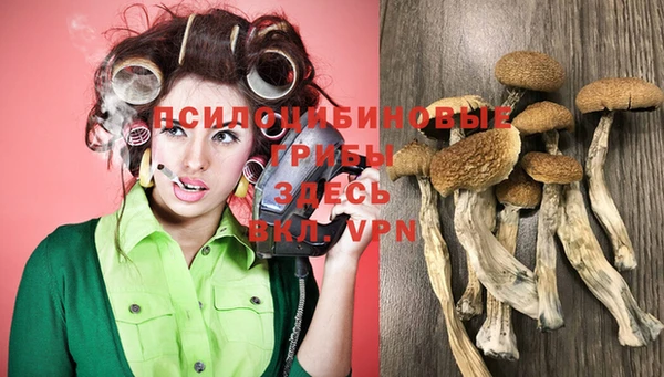 PSILOCYBIN Бугульма