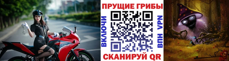 Псилоцибиновые грибы прущие грибы Ковылкино